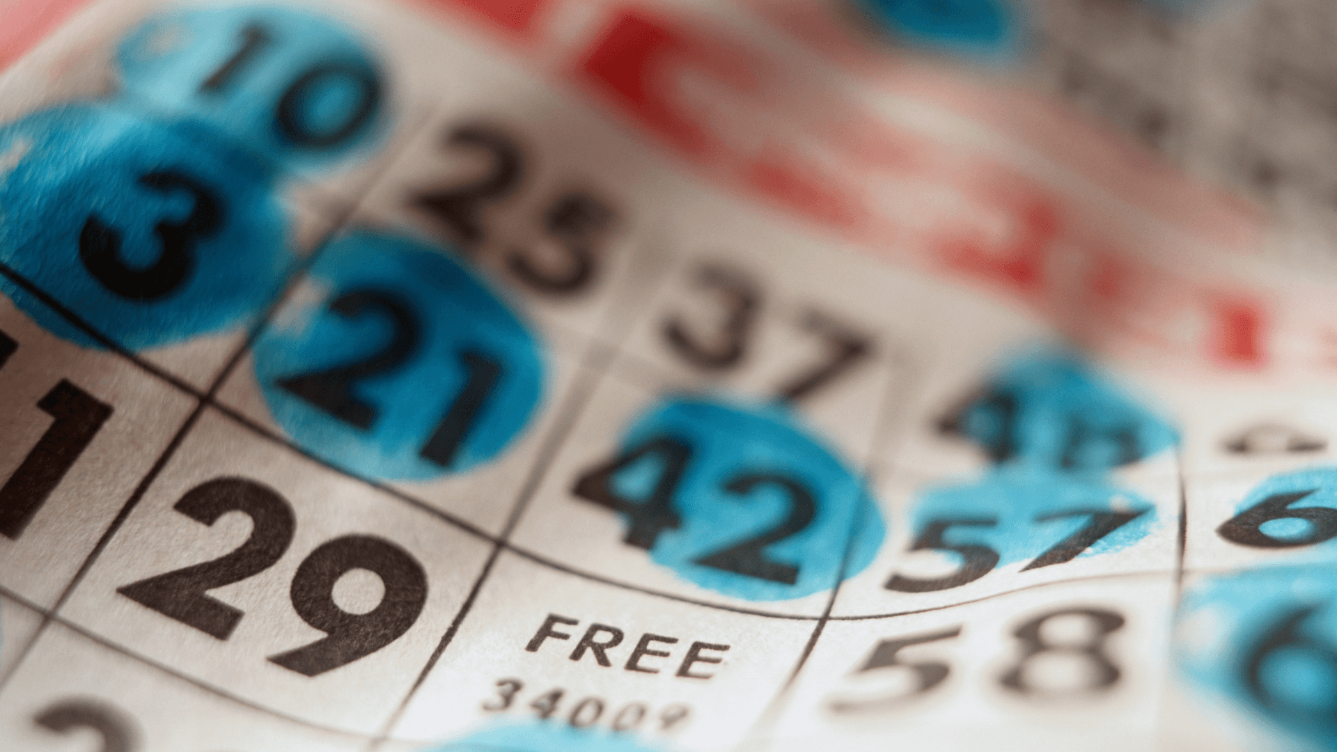 Све о онлајн Бинго картицама и позивима image